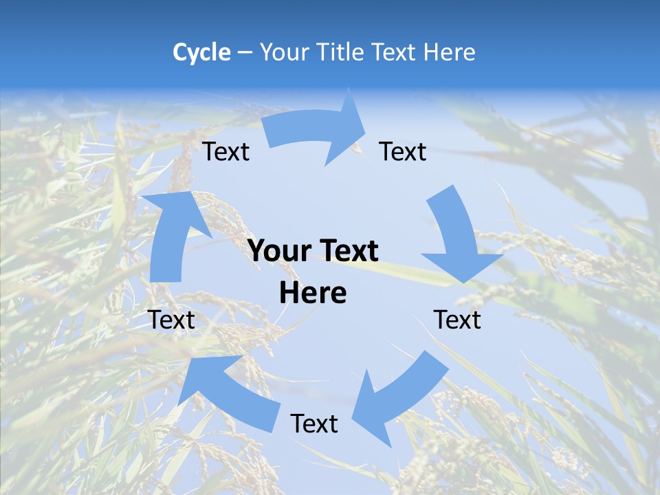 Yellow Harvesting Vegetarian PowerPoint Template