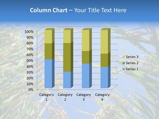 Yellow Harvesting Vegetarian PowerPoint Template