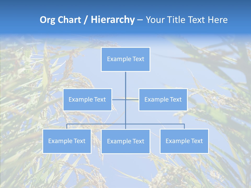 Yellow Harvesting Vegetarian PowerPoint Template