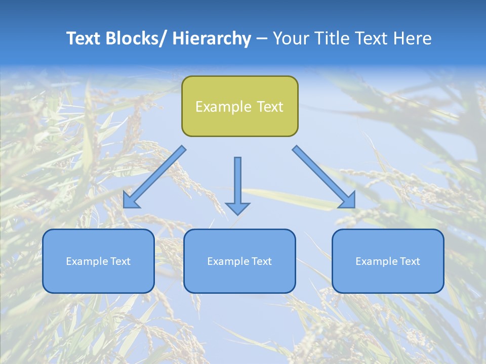 Yellow Harvesting Vegetarian PowerPoint Template