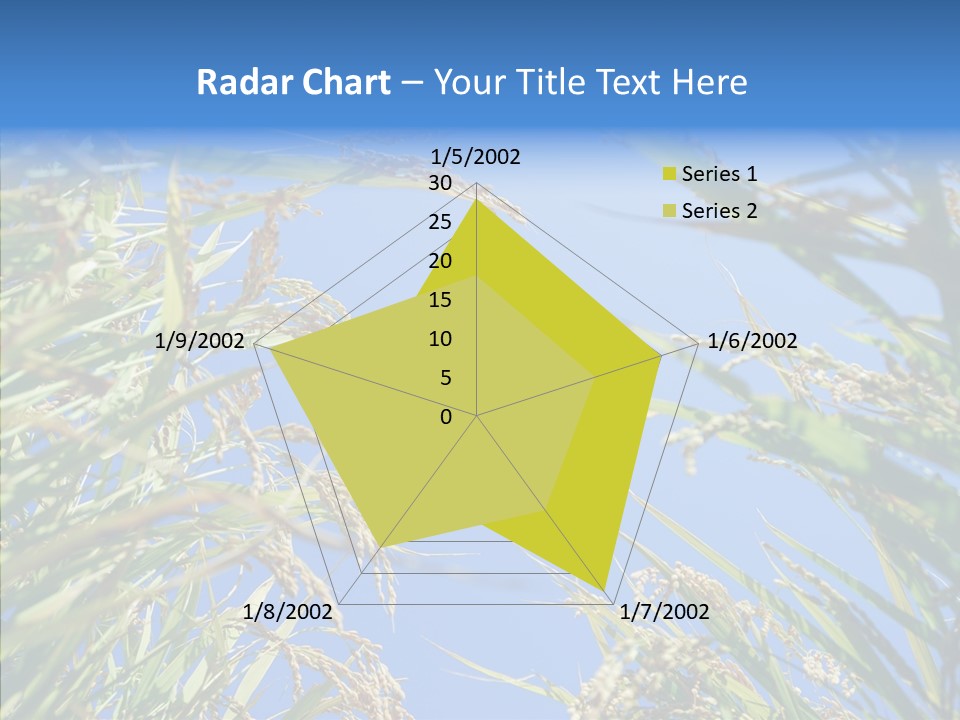 Yellow Harvesting Vegetarian PowerPoint Template