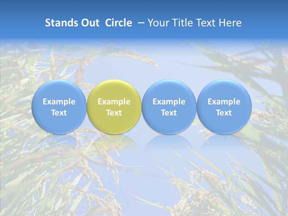 Yellow Harvesting Vegetarian PowerPoint Template