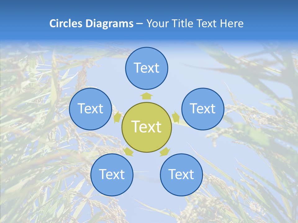 Yellow Harvesting Vegetarian PowerPoint Template