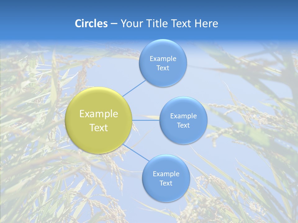 Yellow Harvesting Vegetarian PowerPoint Template