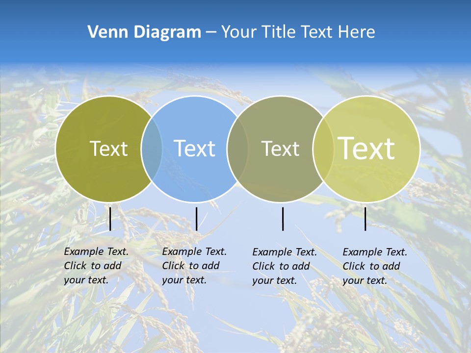 Yellow Harvesting Vegetarian PowerPoint Template