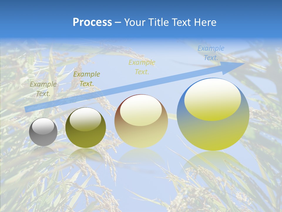 Yellow Harvesting Vegetarian PowerPoint Template