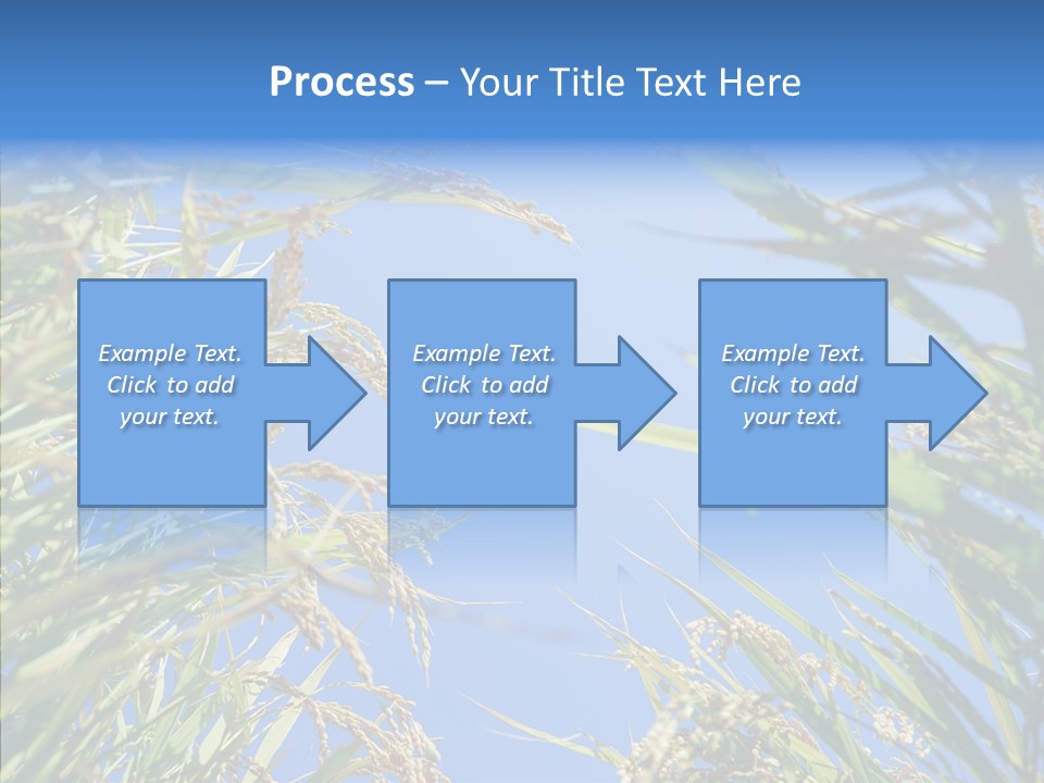 Yellow Harvesting Vegetarian PowerPoint Template