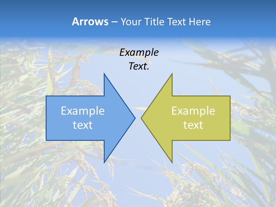 Yellow Harvesting Vegetarian PowerPoint Template