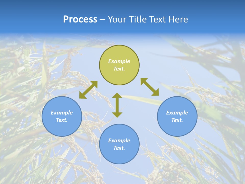 Yellow Harvesting Vegetarian PowerPoint Template