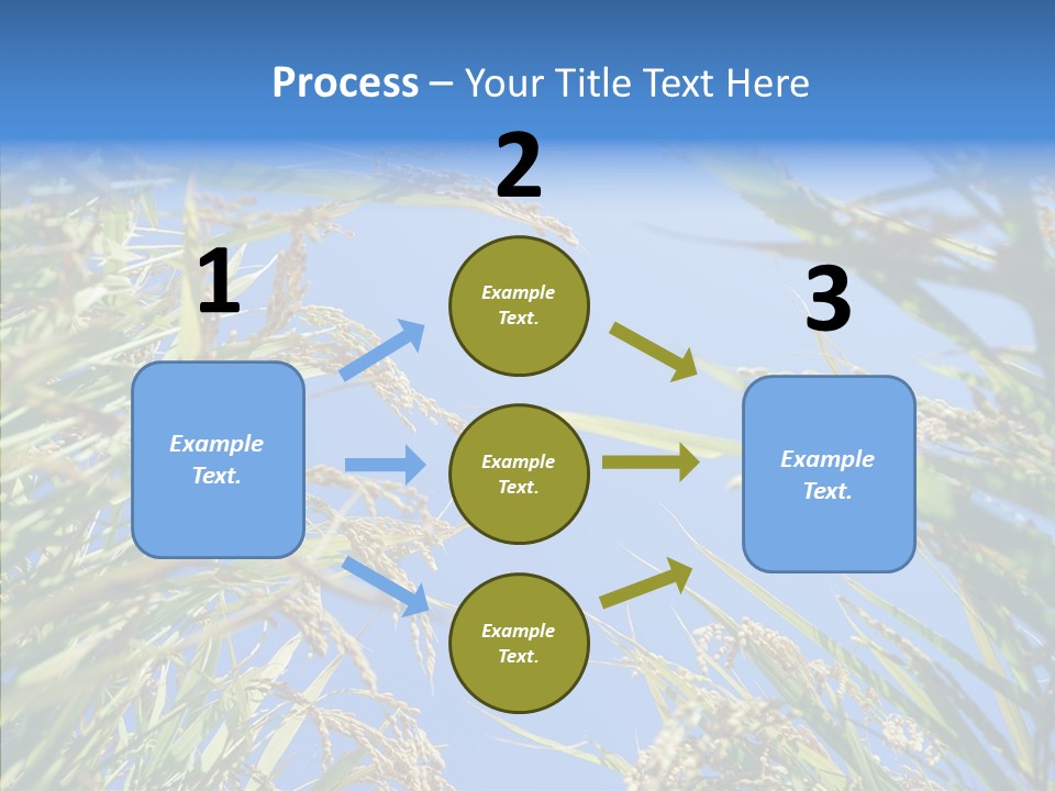 Yellow Harvesting Vegetarian PowerPoint Template