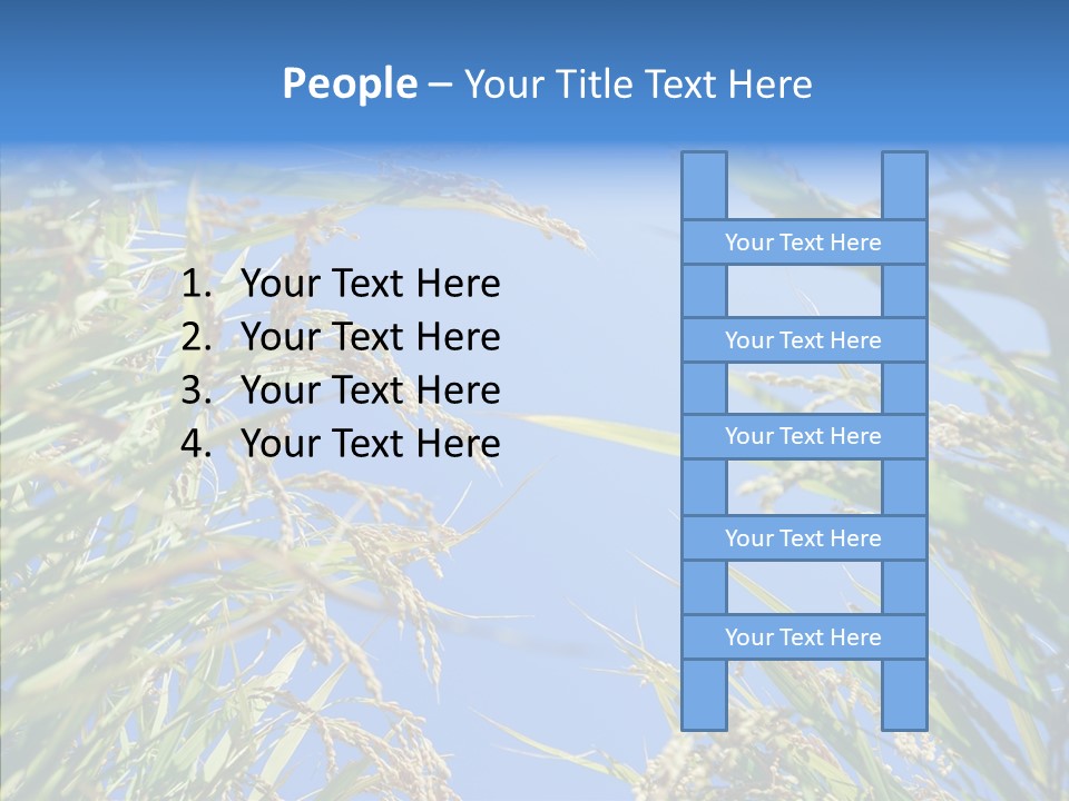 Yellow Harvesting Vegetarian PowerPoint Template