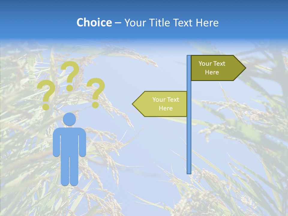Yellow Harvesting Vegetarian PowerPoint Template