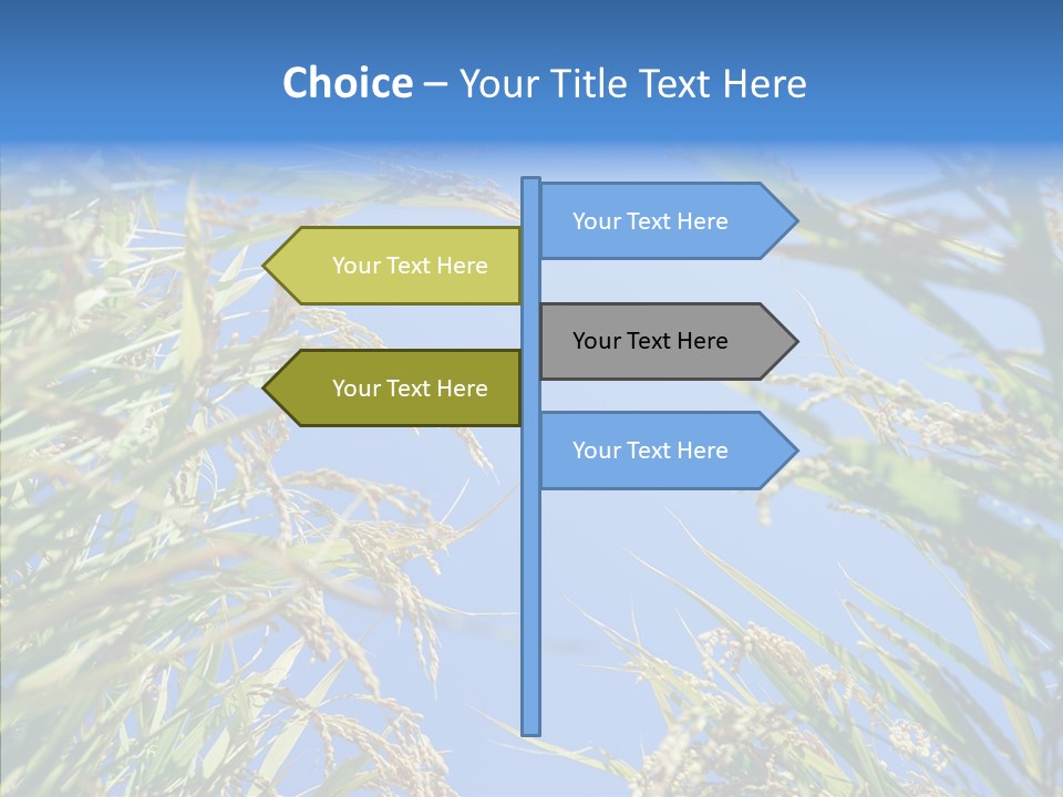 Yellow Harvesting Vegetarian PowerPoint Template