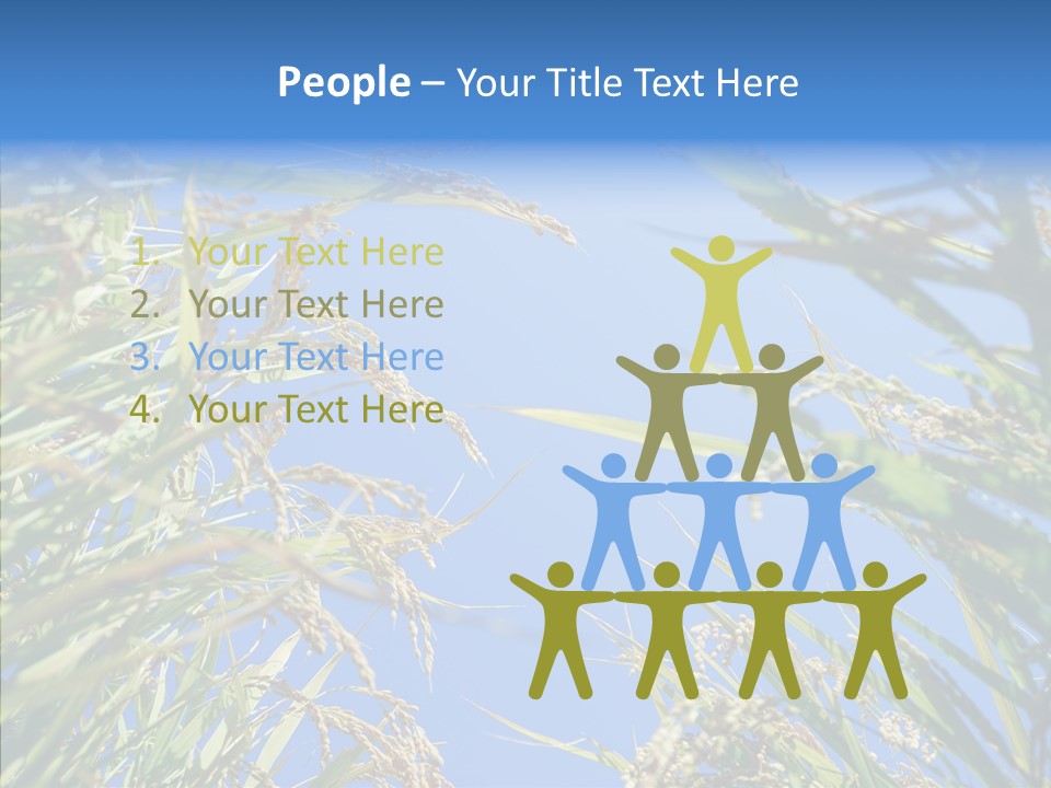 Yellow Harvesting Vegetarian PowerPoint Template