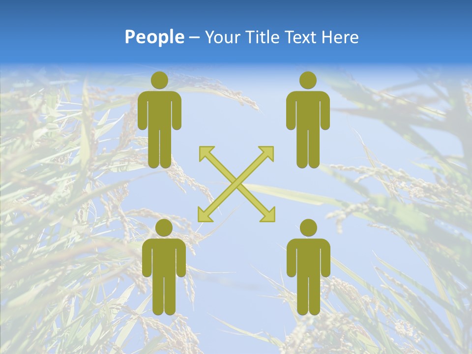 Yellow Harvesting Vegetarian PowerPoint Template