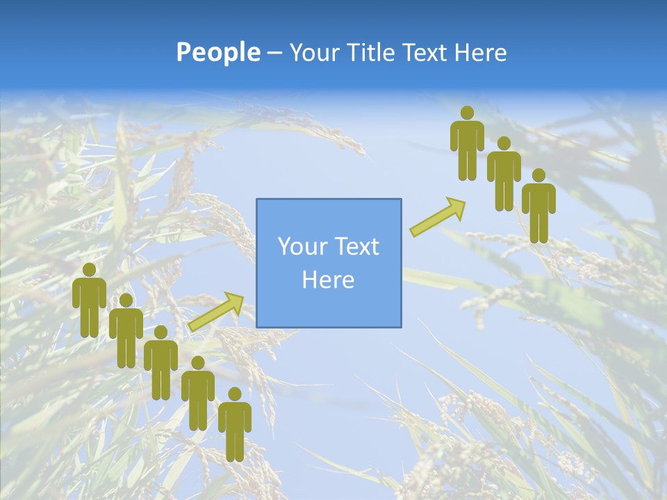 Yellow Harvesting Vegetarian PowerPoint Template