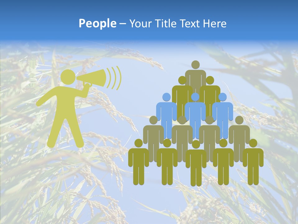 Yellow Harvesting Vegetarian PowerPoint Template