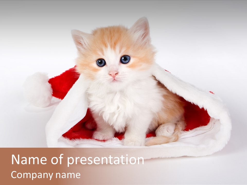 Animal Christmas Red PowerPoint Template