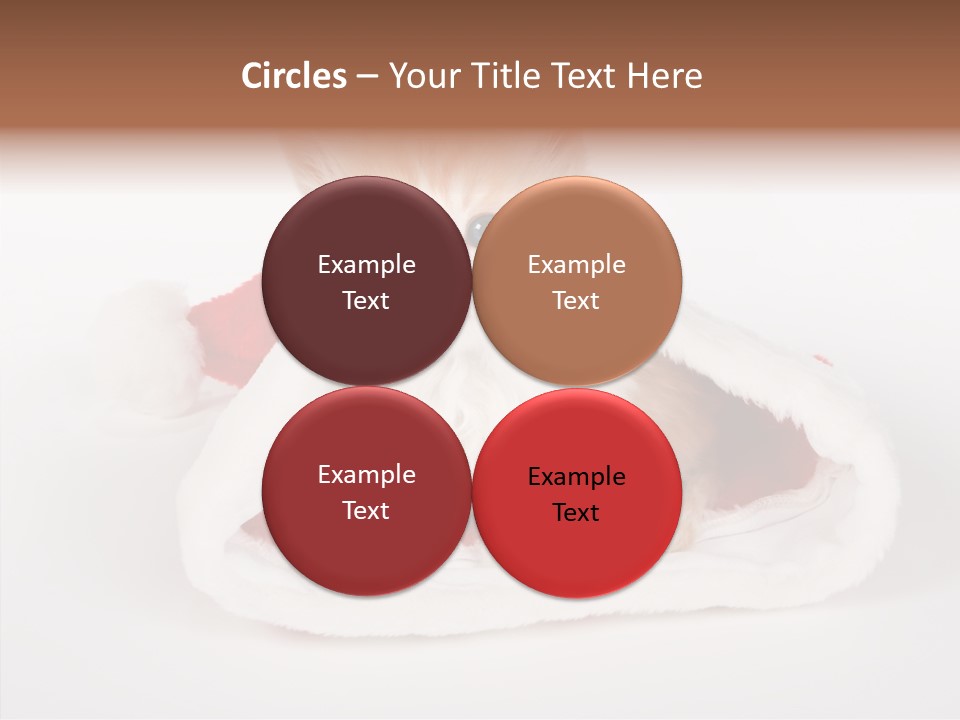 Animal Christmas Red PowerPoint Template