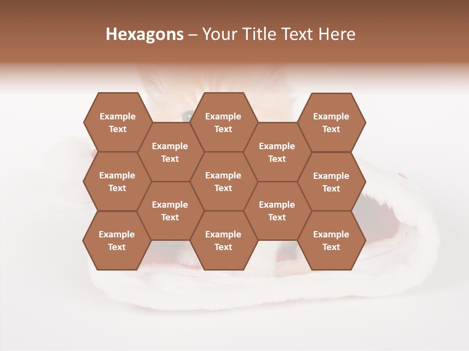 Animal Christmas Red PowerPoint Template