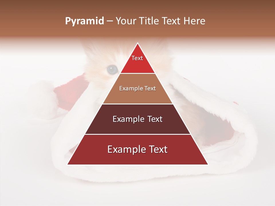 Animal Christmas Red PowerPoint Template