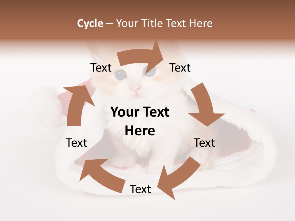 Animal Christmas Red PowerPoint Template