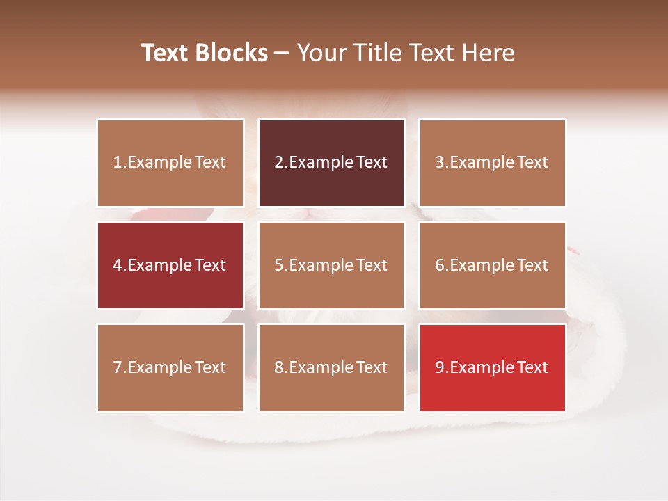 Animal Christmas Red PowerPoint Template