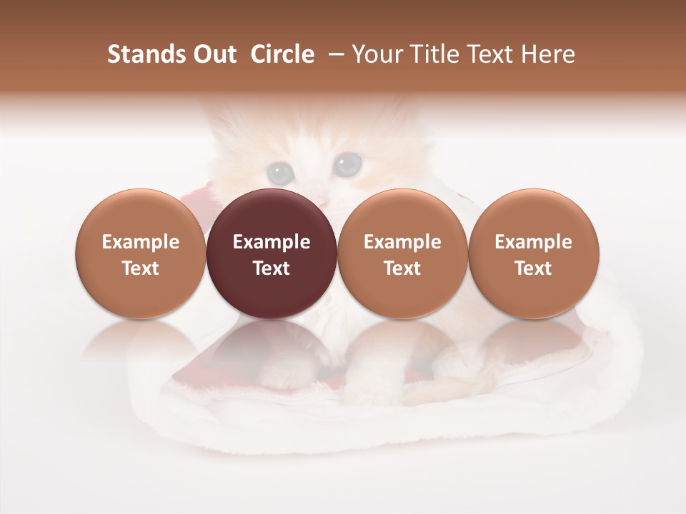 Animal Christmas Red PowerPoint Template