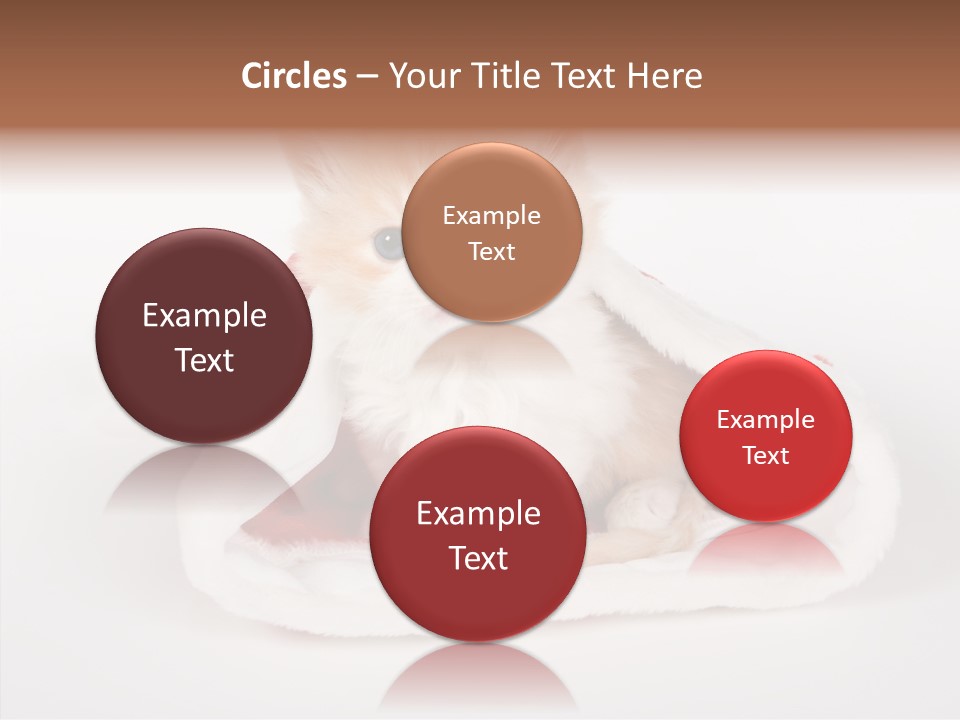 Animal Christmas Red PowerPoint Template