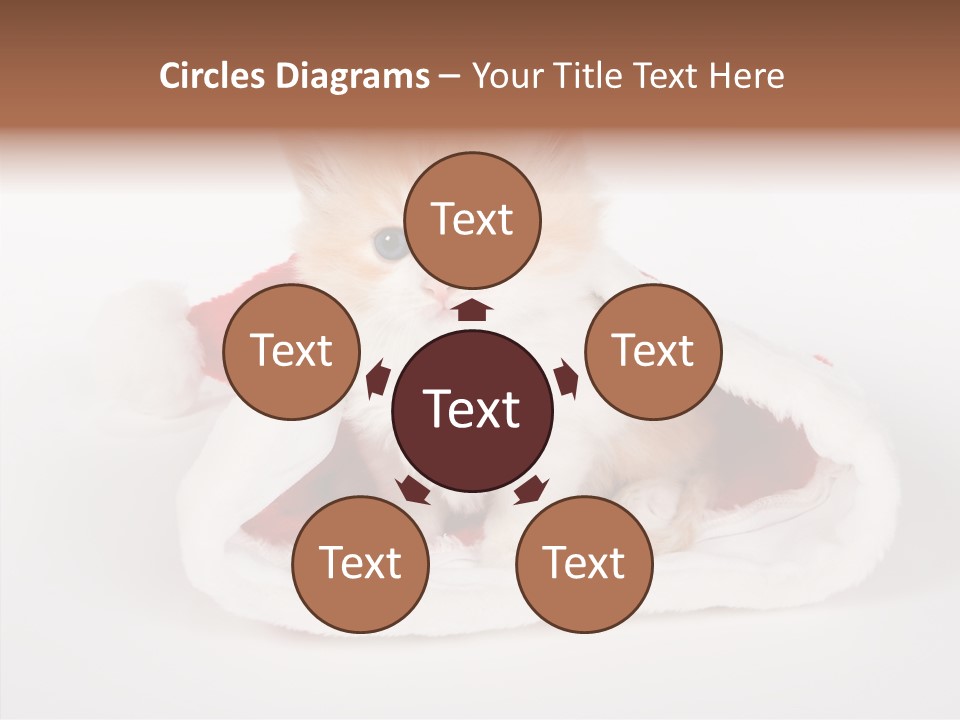 Animal Christmas Red PowerPoint Template