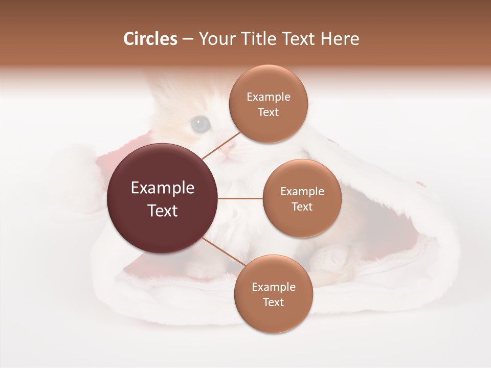 Animal Christmas Red PowerPoint Template