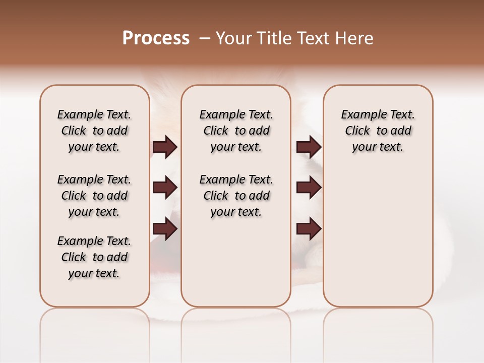 Animal Christmas Red PowerPoint Template
