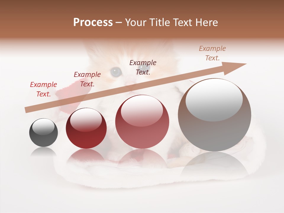 Animal Christmas Red PowerPoint Template