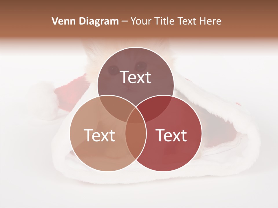 Animal Christmas Red PowerPoint Template