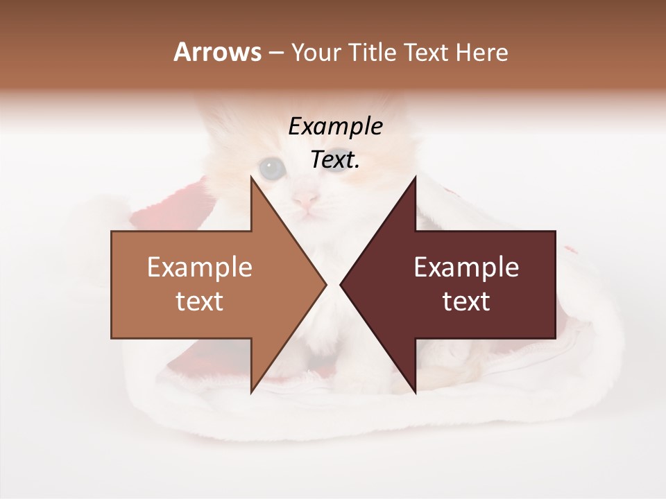 Animal Christmas Red PowerPoint Template