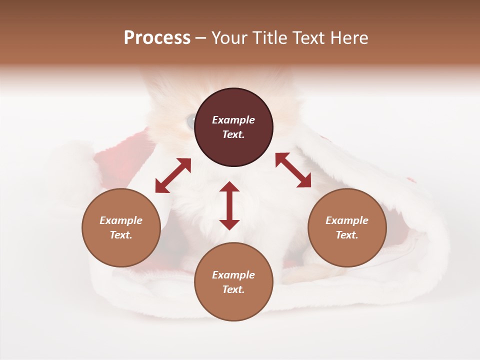 Animal Christmas Red PowerPoint Template