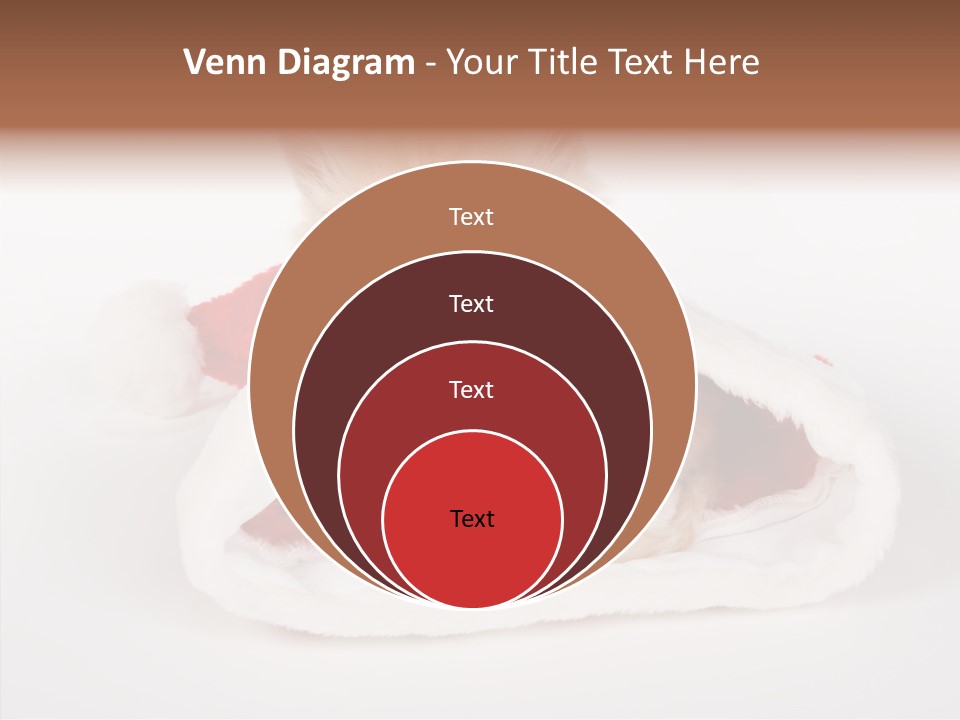 Animal Christmas Red PowerPoint Template