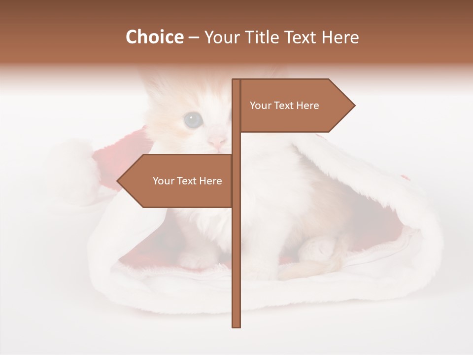 Animal Christmas Red PowerPoint Template