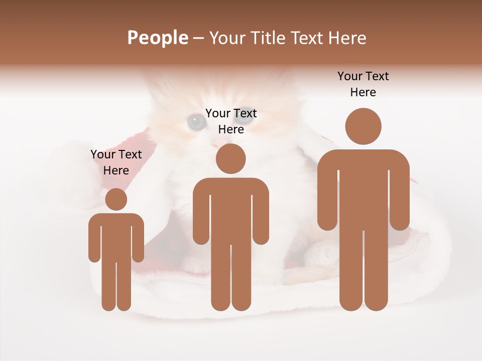 Animal Christmas Red PowerPoint Template