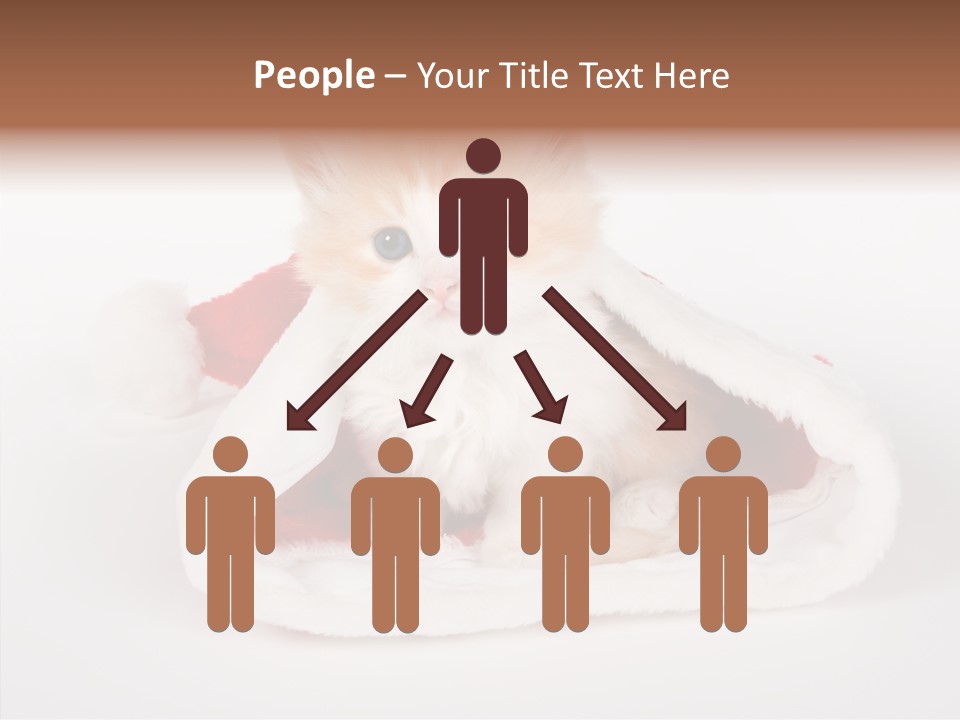 Animal Christmas Red PowerPoint Template