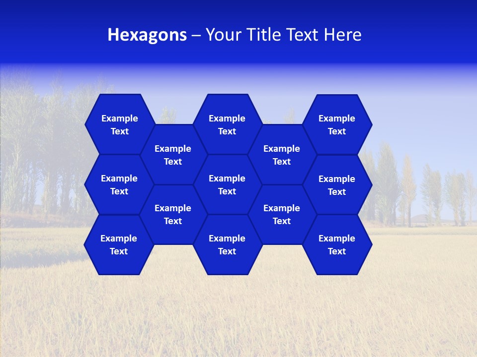 Charming Rice Meadow PowerPoint Template