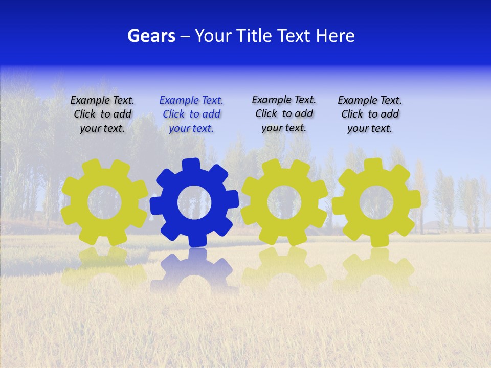 Charming Rice Meadow PowerPoint Template