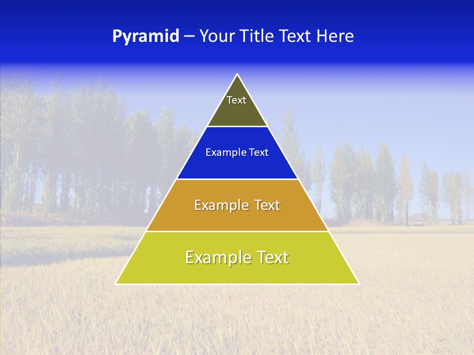 Charming Rice Meadow PowerPoint Template