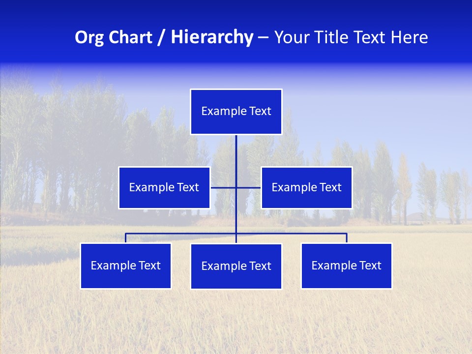 Charming Rice Meadow PowerPoint Template