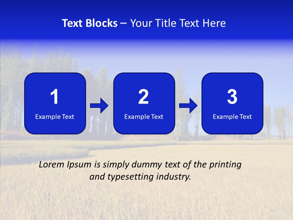 Charming Rice Meadow PowerPoint Template