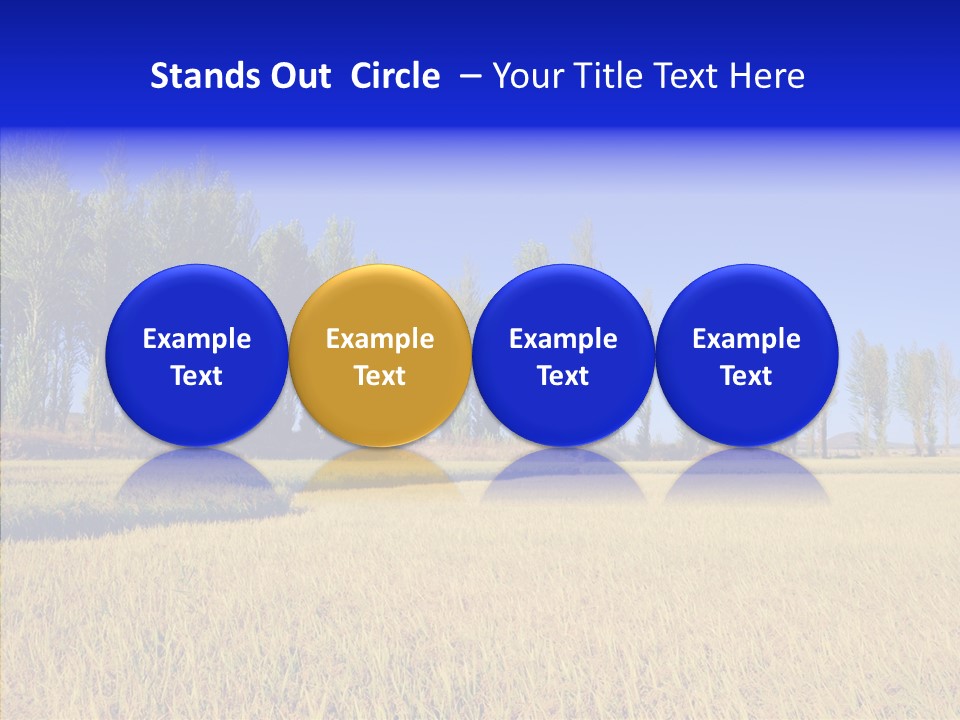 Charming Rice Meadow PowerPoint Template