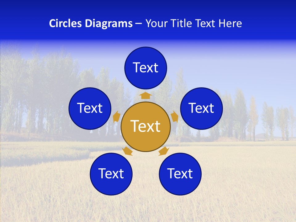 Charming Rice Meadow PowerPoint Template