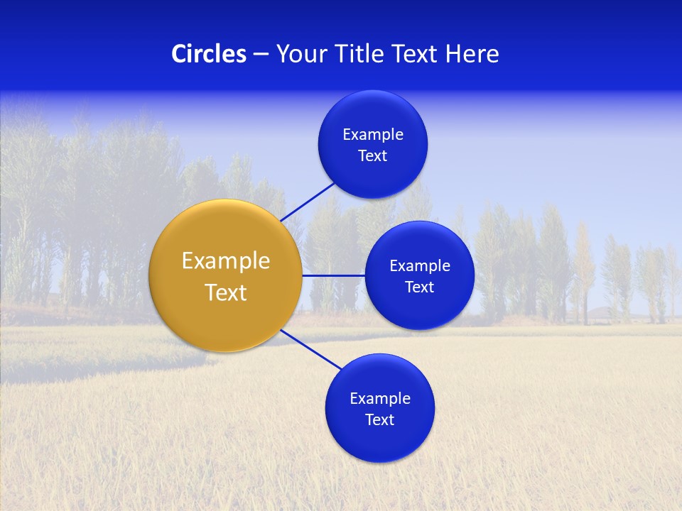 Charming Rice Meadow PowerPoint Template