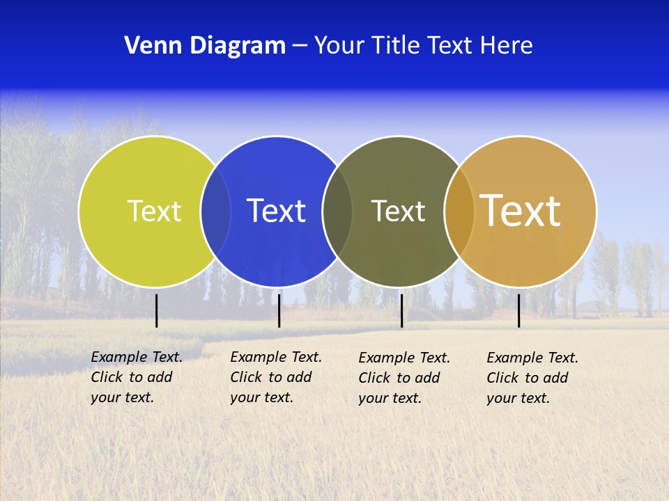 Charming Rice Meadow PowerPoint Template