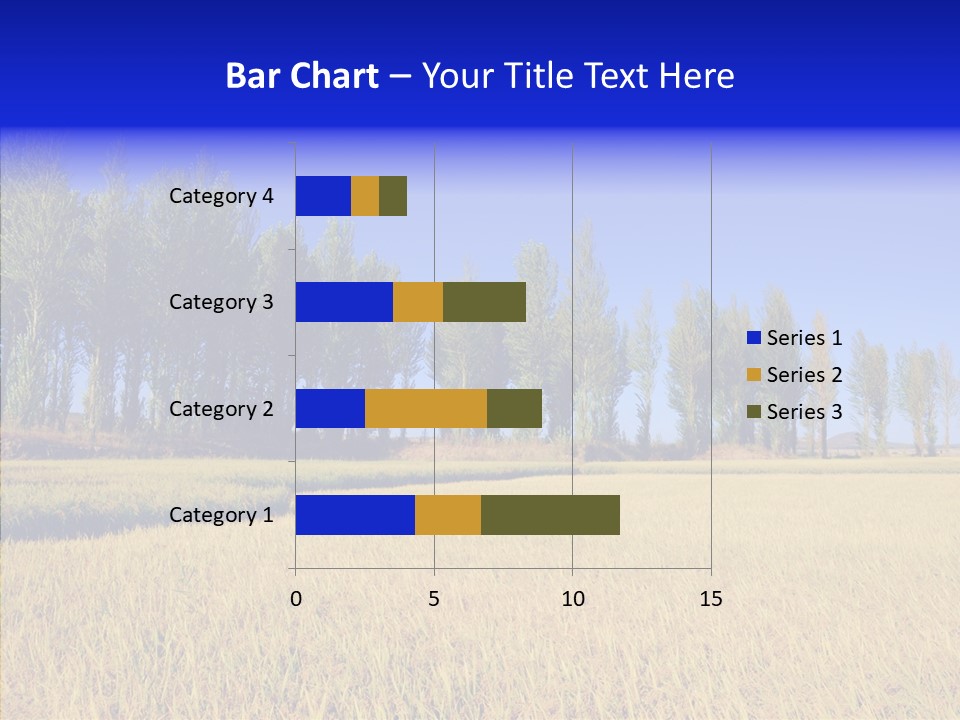 Charming Rice Meadow PowerPoint Template